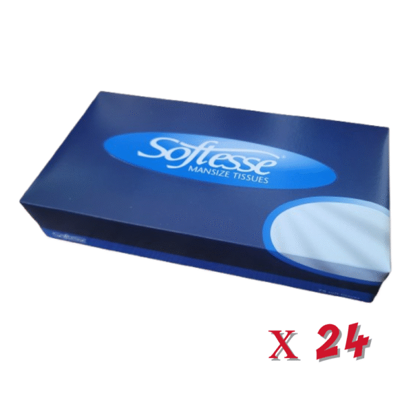Large Facial Tissues 75 fill - BOX 24