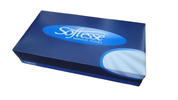 Large Facial Tissues 75 fill - 1 Box
