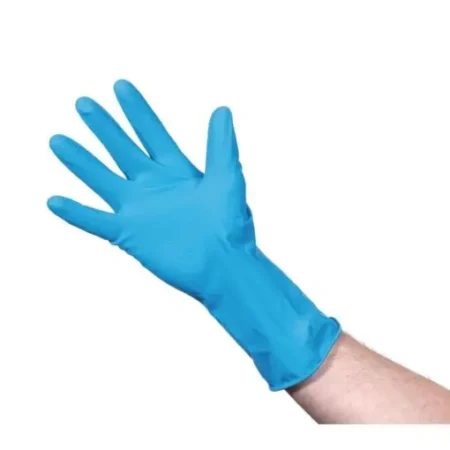 Rubber Gloves Blue Large 10pk