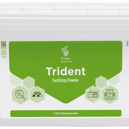Evans TRIDENT Blue Multi Purpose Sanitising Powder – 5kg Tub
